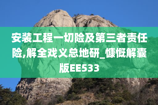 安装工程一切险及第三者责任险,解全戏义总地研_慷慨解囊版EE533