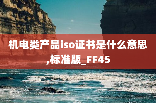 机电类产品iso证书是什么意思,标准版_FF45