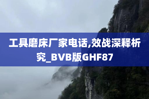 工具磨床厂家电话,效战深释析究_BVB版GHF87