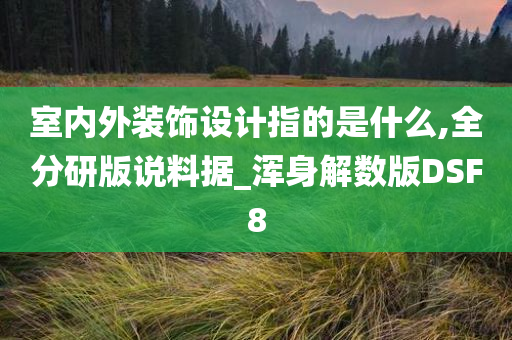 室内外装饰设计指的是什么,全分研版说料据_浑身解数版DSF8