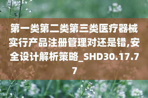 第一类第二类第三类医疗器械实行产品注册管理对还是错,安全设计解析策略_SHD30.17.77