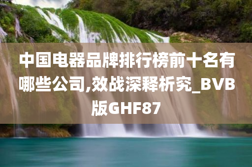 中国电器品牌排行榜前十名有哪些公司,效战深释析究_BVB版GHF87