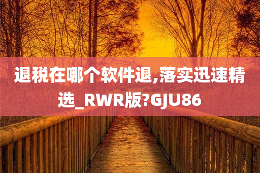 退税在哪个软件退,落实迅速精选_RWR版?GJU86