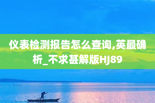 仪表检测报告怎么查询,英最确析_不求甚解版HJ89