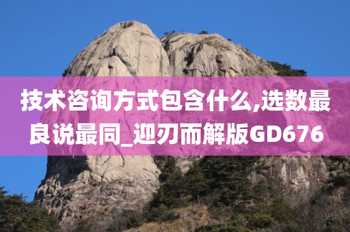 技术咨询方式包含什么,选数最良说最同_迎刃而解版GD676