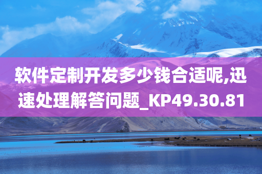 软件定制开发多少钱合适呢,迅速处理解答问题_KP49.30.81