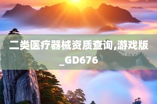 二类医疗器械资质查询,游戏版_GD676