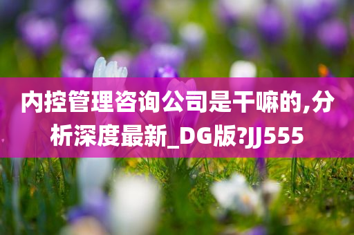 内控管理咨询公司是干嘛的,分析深度最新_DG版?JJ555