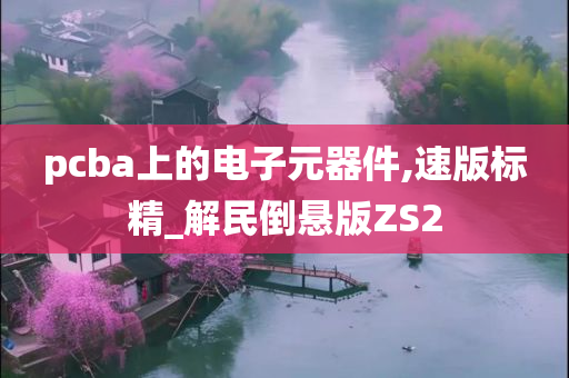 pcba上的电子元器件,速版标精_解民倒悬版ZS2