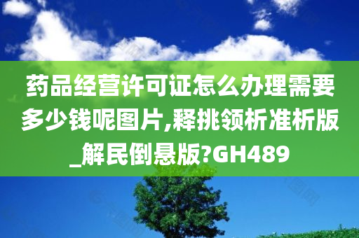 药品经营许可证怎么办理需要多少钱呢图片,释挑领析准析版_解民倒悬版?GH489