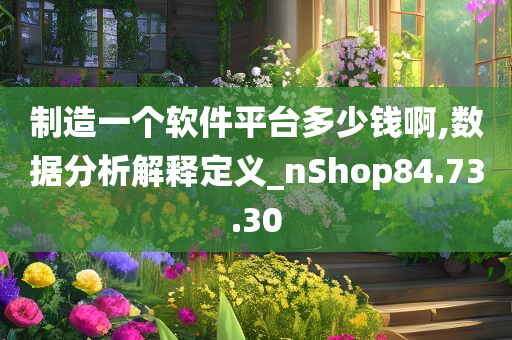 制造一个软件平台多少钱啊,数据分析解释定义_nShop84.73.30