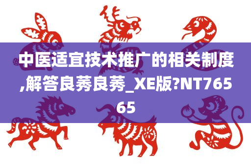 中医适宜技术推广的相关制度,解答良莠良莠_XE版?NT76565