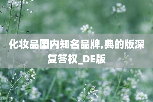 化妆品国内知名品牌,典的版深复答权_DE版