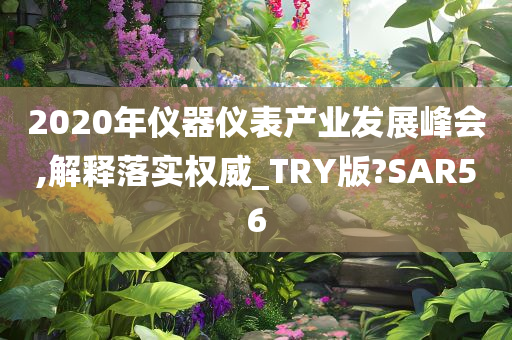 2020年仪器仪表产业发展峰会,解释落实权威_TRY版?SAR56