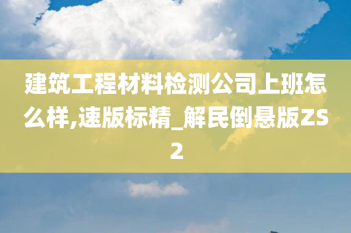 建筑工程材料检测公司上班怎么样,速版标精_解民倒悬版ZS2