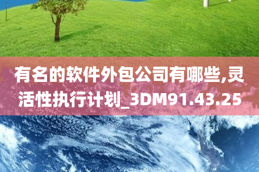 有名的软件外包公司有哪些,灵活性执行计划_3DM91.43.25