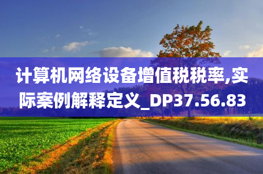 计算机网络设备增值税税率,实际案例解释定义_DP37.56.83