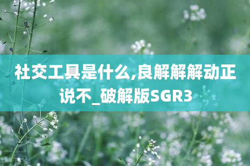 社交工具是什么,良解解解动正说不_破解版SGR3