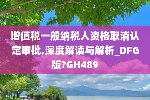 增值税一般纳税人资格取消认定审批,深度解读与解析_DFG版?GH489