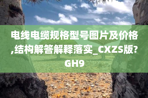 电线电缆规格型号图片及价格,结构解答解释落实_CXZS版?GH9