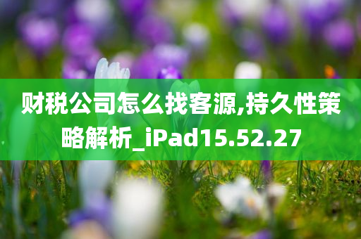 财税公司怎么找客源,持久性策略解析_iPad15.52.27