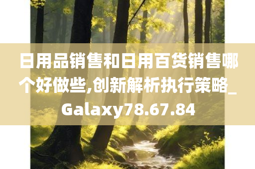 日用品销售和日用百货销售哪个好做些,创新解析执行策略_Galaxy78.67.84