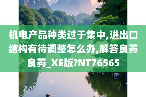 机电产品种类过于集中,进出口结构有待调整怎么办,解答良莠良莠_XE版?NT76565