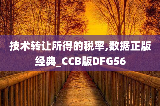 技术转让所得的税率,数据正版经典_CCB版DFG56