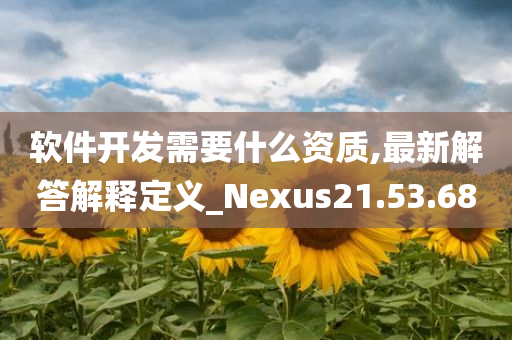 软件开发需要什么资质,最新解答解释定义_Nexus21.53.68