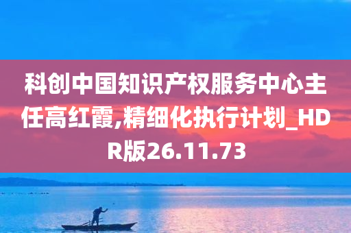 科创中国知识产权服务中心主任高红霞,精细化执行计划_HDR版26.11.73