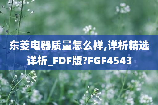 东菱电器质量怎么样,详析精选详析_FDF版?FGF4543