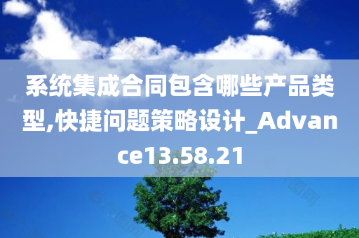 系统集成合同包含哪些产品类型,快捷问题策略设计_Advance13.58.21