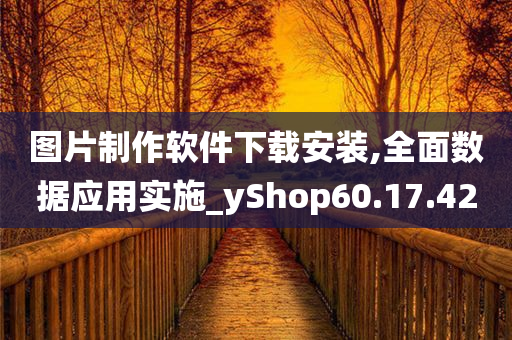 图片制作软件下载安装,全面数据应用实施_yShop60.17.42