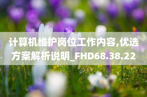 计算机维护岗位工作内容,优选方案解析说明_FHD68.38.22