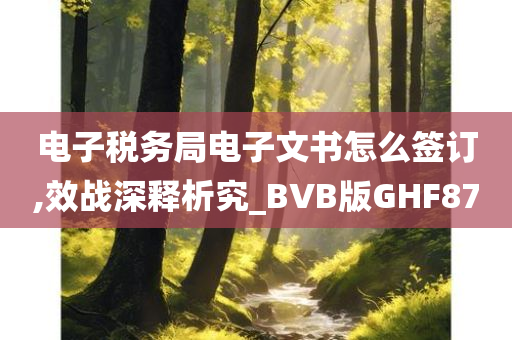 电子税务局电子文书怎么签订,效战深释析究_BVB版GHF87