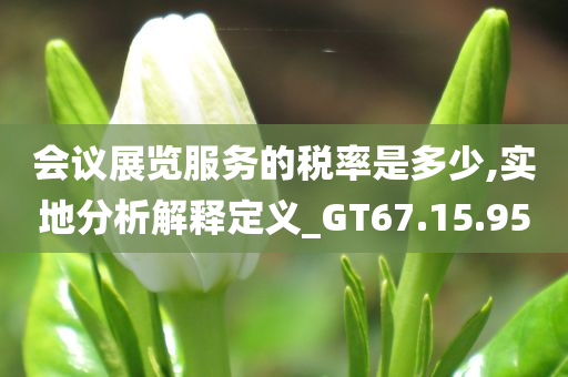 会议展览服务的税率是多少,实地分析解释定义_GT67.15.95