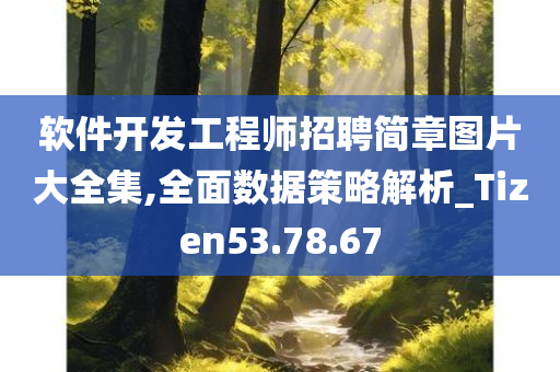 软件开发工程师招聘简章图片大全集,全面数据策略解析_Tizen53.78.67