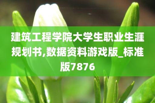 建筑工程学院大学生职业生涯规划书,数据资料游戏版_标准版7876