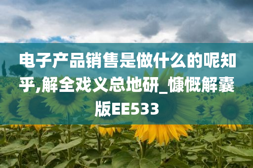 电子产品销售是做什么的呢知乎,解全戏义总地研_慷慨解囊版EE533