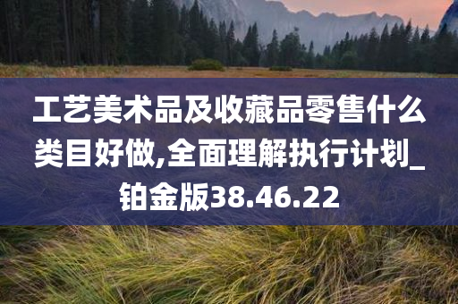 工艺美术品及收藏品零售什么类目好做,全面理解执行计划_铂金版38.46.22