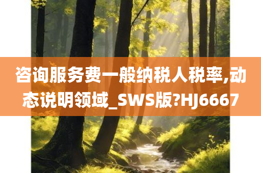 咨询服务费一般纳税人税率,动态说明领域_SWS版?HJ6667