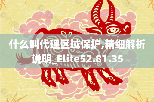 什么叫代理区域保护,精细解析说明_Elite52.81.35