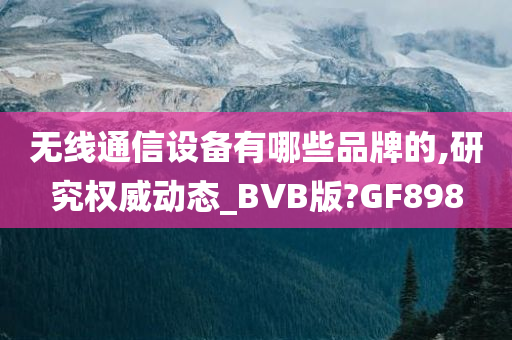 无线通信设备有哪些品牌的,研究权威动态_BVB版?GF898