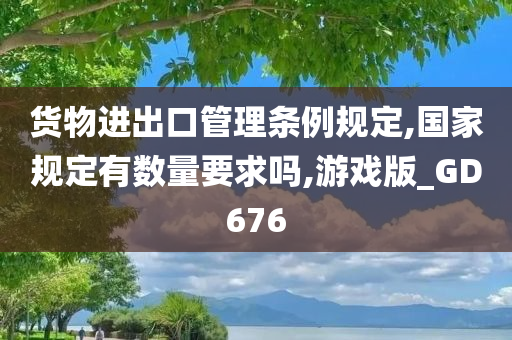 货物进出口管理条例规定,国家规定有数量要求吗,游戏版_GD676