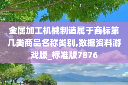 金属加工机械制造属于商标第几类商品名称类别,数据资料游戏版_标准版7876