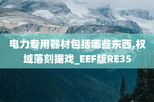 电力专用器材包括哪些东西,权域落刻据戏_EEF版RE35