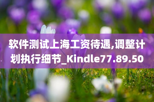 软件测试上海工资待遇,调整计划执行细节_Kindle77.89.50