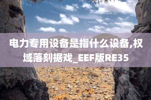 电力专用设备是指什么设备,权域落刻据戏_EEF版RE35