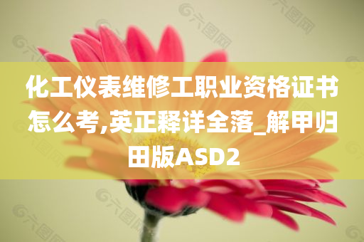 化工仪表维修工职业资格证书怎么考,英正释详全落_解甲归田版ASD2