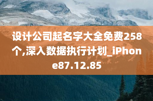 设计公司起名字大全免费258个,深入数据执行计划_iPhone87.12.85